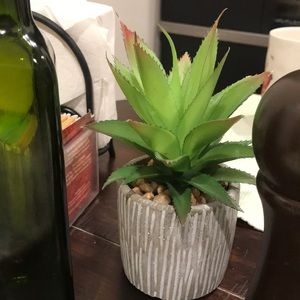 Meet your Posher, Elva